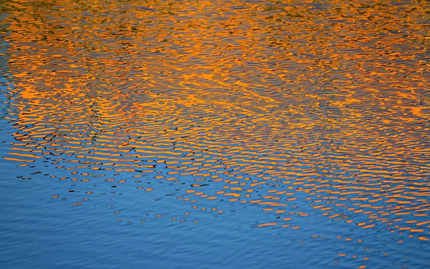220803WATERVIJVERPIXABAY