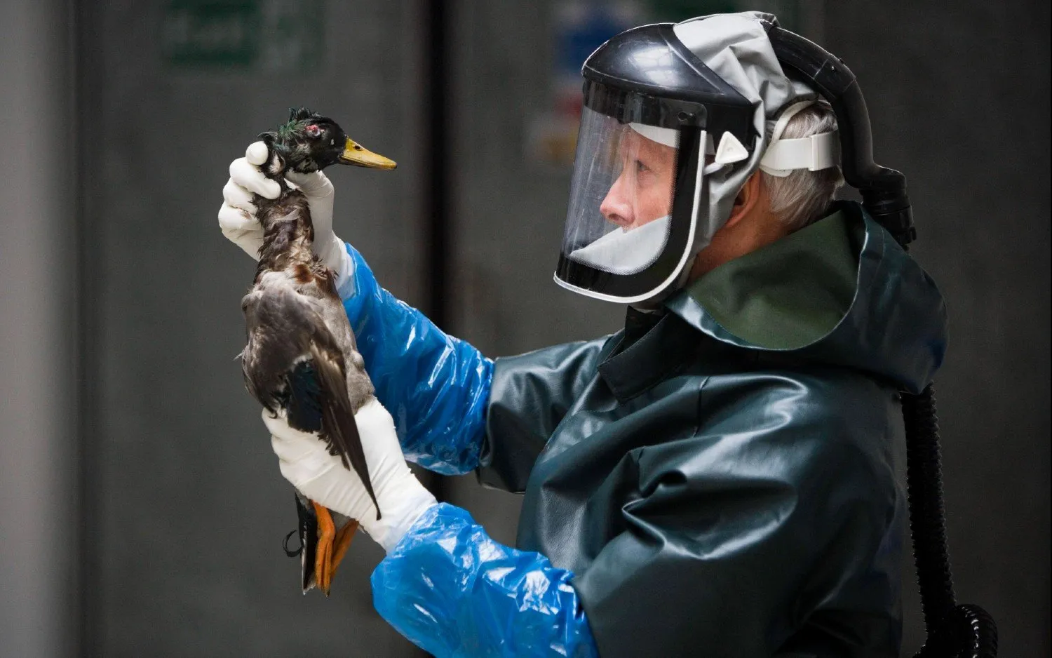 220804VOGELGRIEPPHOTONEWS