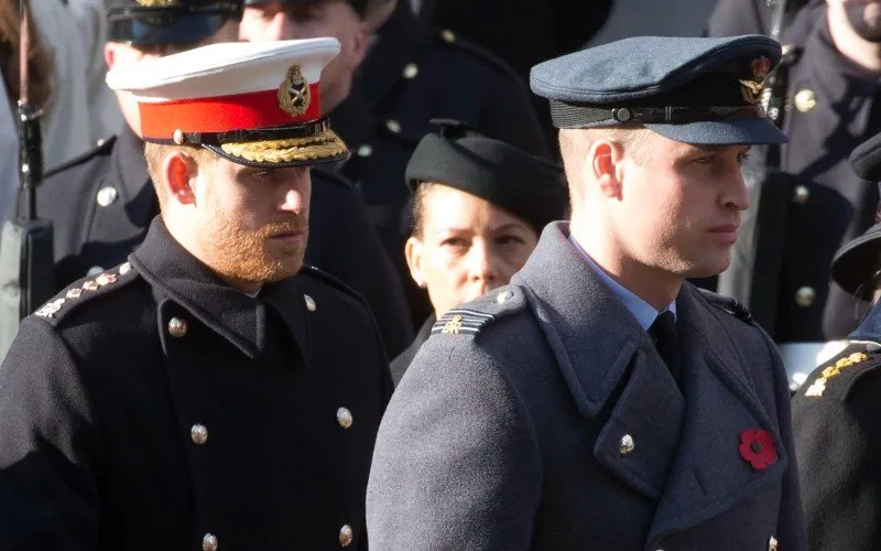 harrywilliamphotonews