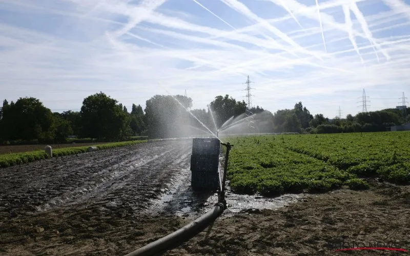 waterschaarste