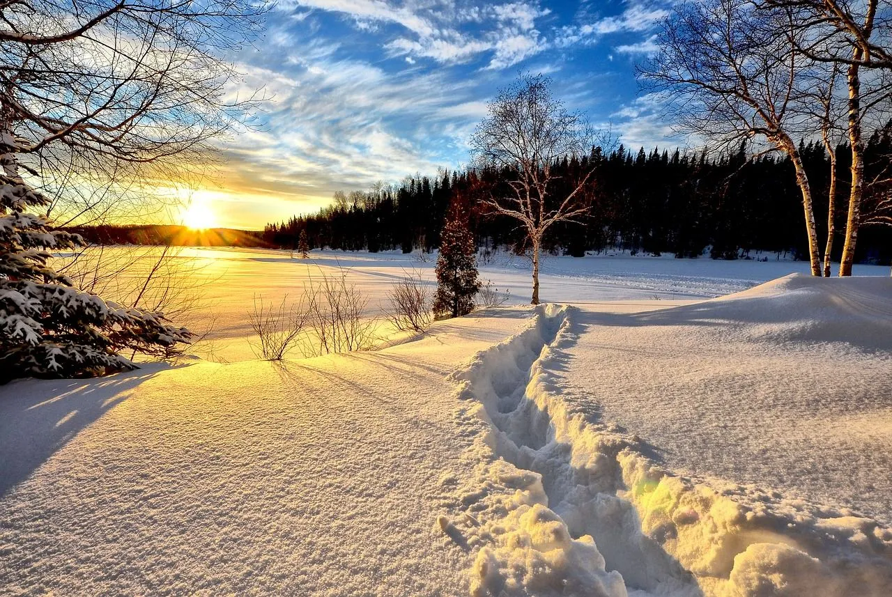 sneeuw winter weer