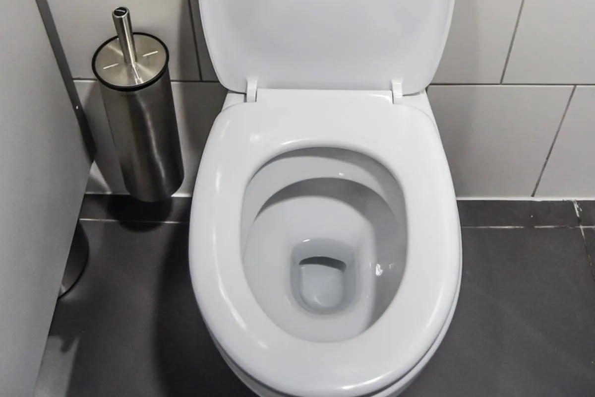 toilet