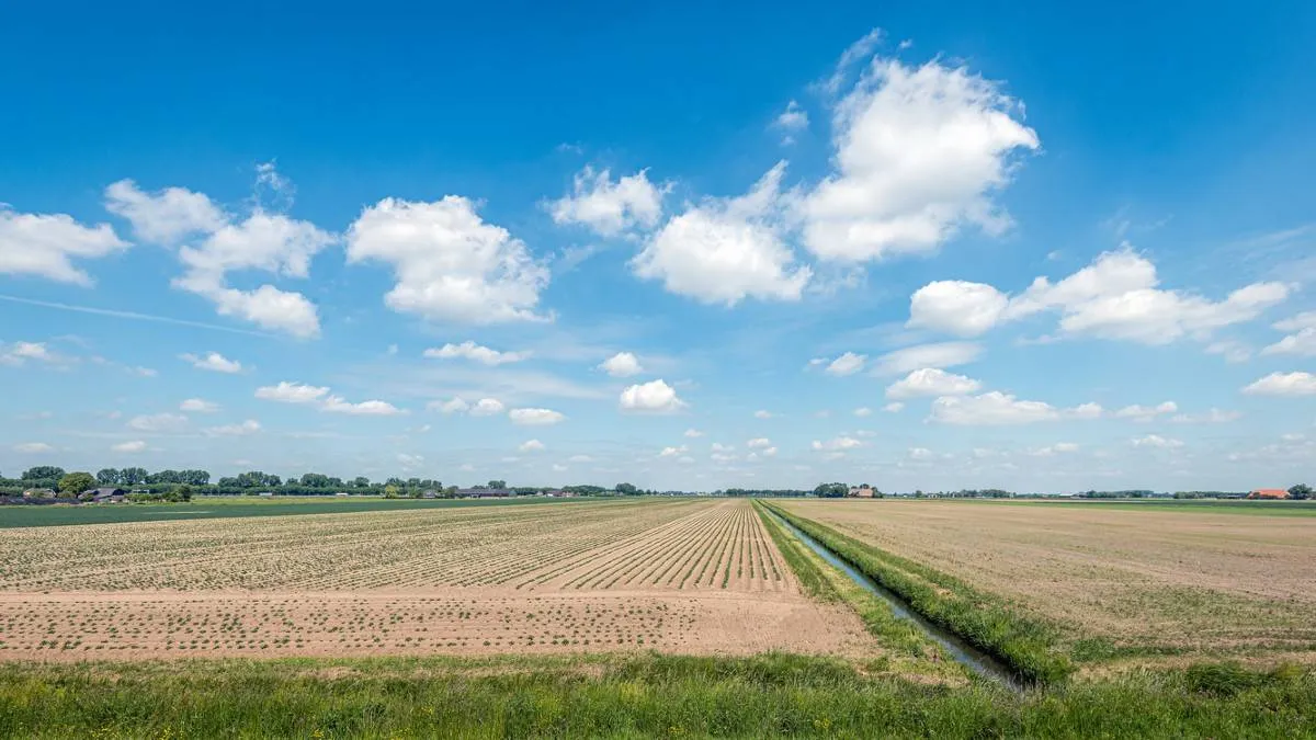 250616drooglandschap