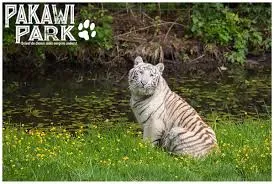 Pakawi Park