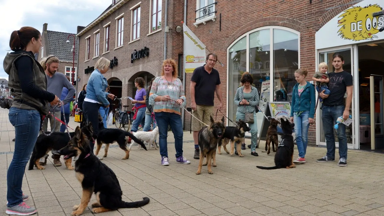 2016 08 13 hondenschool berendsen