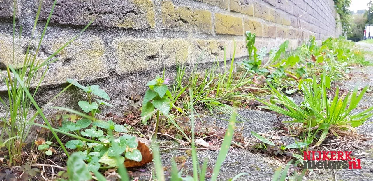 2017 10 20 groenonderhoud 2