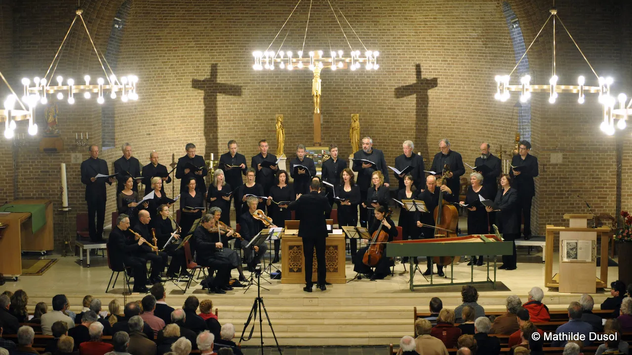 agjajw0uoczafwtm381t7o7wi 2014 02 01 bach1103v