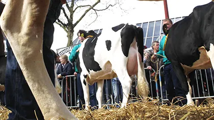 atv89xd352i1owyod3j905lk4 2012 04 16boerenmaandag4