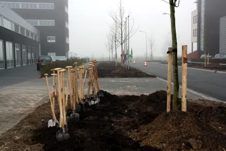 bpeg4m5e34w0dd089s8z73wit 52674