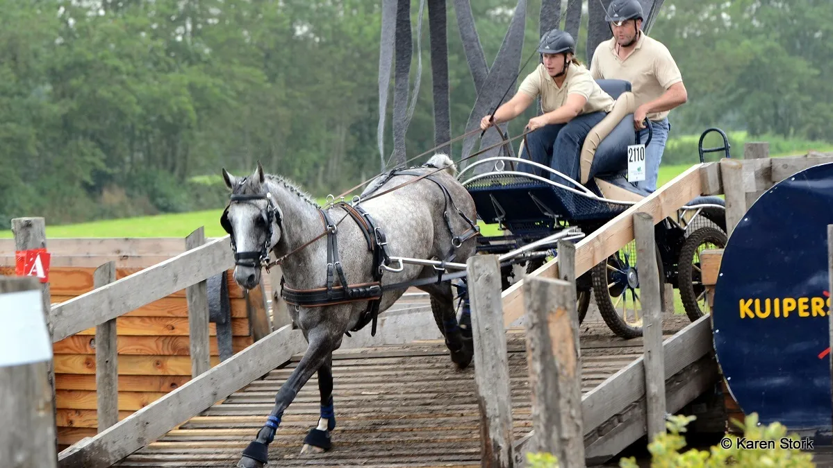 c6con82a0kt9q29hjjlw7psm1 2014 09 08 elsbeth broekhuis karen stork 60 klein