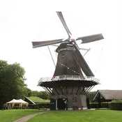 dfofdvvj8dj1szd86pvyyj1li 145123