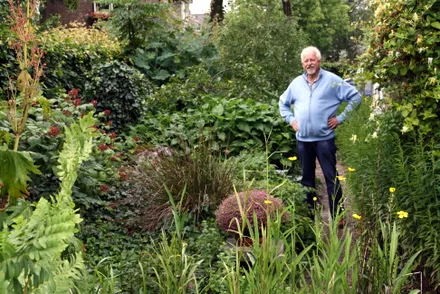 ecbkf8xe2awpbn83jpoov8cts 69129