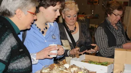 huv4tyg5z4s4eqg00csur7p4k 51344