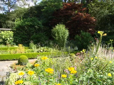 j7irwsmvr59zglemlbyz1ekne 223520