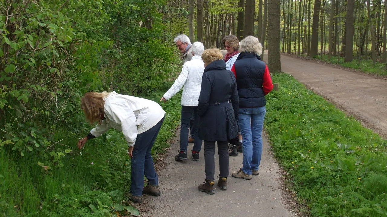 jgkzciurivly335qo6rki4j4i 2014 06 24 natuurlijk bewegen