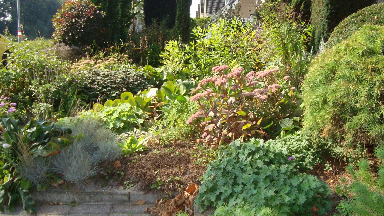 kjqwowui6agwff8m3zdg6v1j3 2013 11 07 groei en bloei nveen