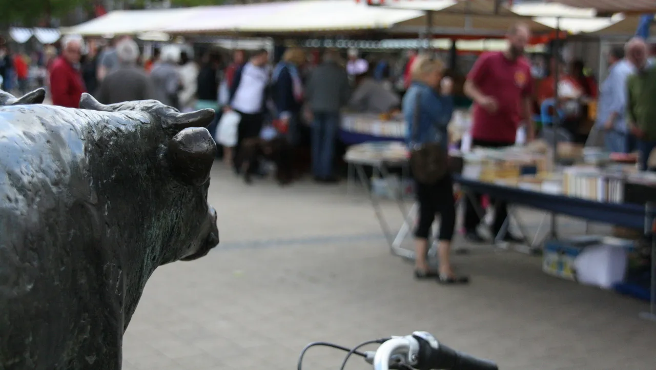 m7o9jvk6jgtuikdrac4jo5nmq markt