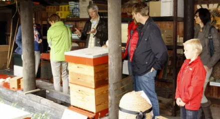 qbwizocok9r58x1igw3tl4dl1 152037