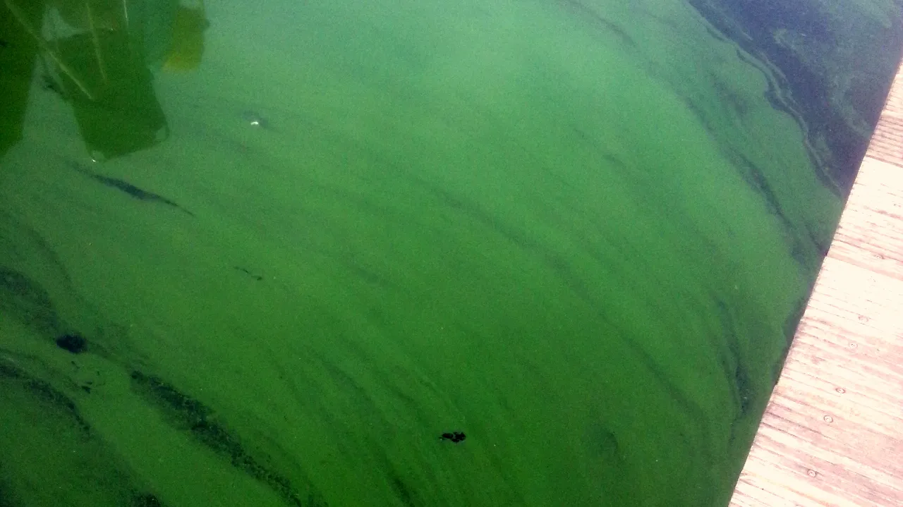 reh5dxwai9c6z9np18zrmp82l 2013 08 21 erkemederstrand 2