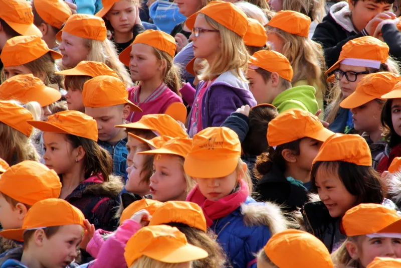 s46d4pumfoiql6nxv0zjp9b9g 216559