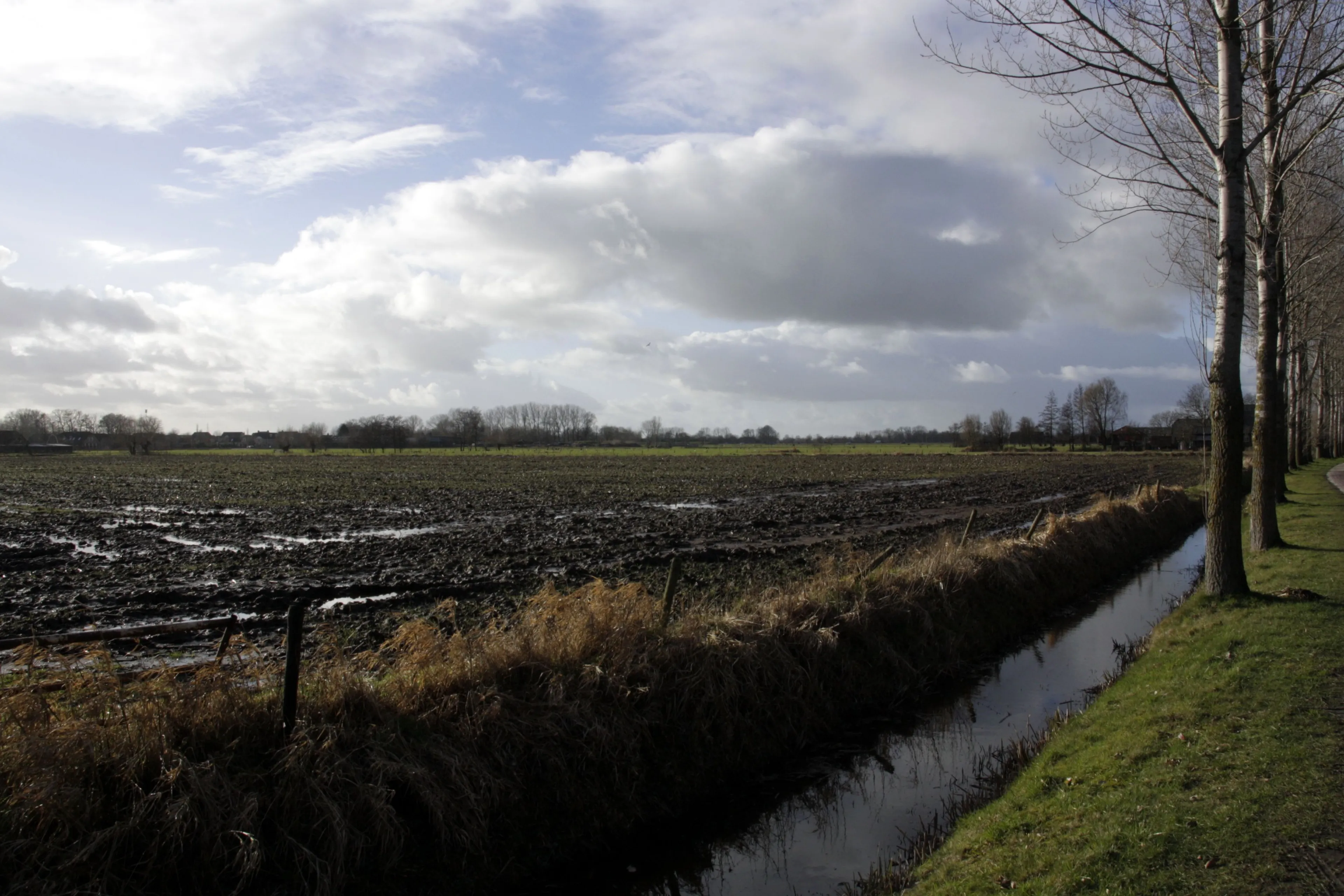 standaard nijkerk van alles doornsteeg