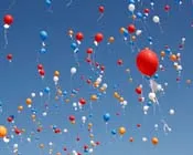 svjvq5g49ug8mfyv15tnar4h5 153947