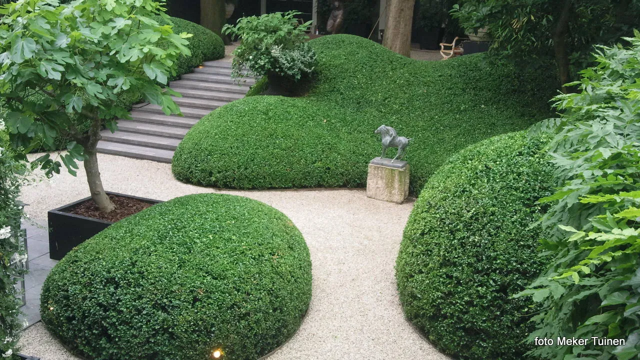 xhhayzq74a5baarvlhiddlo04 2013 09 23 meker tuinen 2