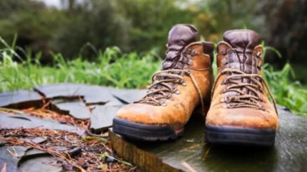 zponb52hvf7ubdbupqn6rf3bx 2013 12 06 diabeteschallenge 1