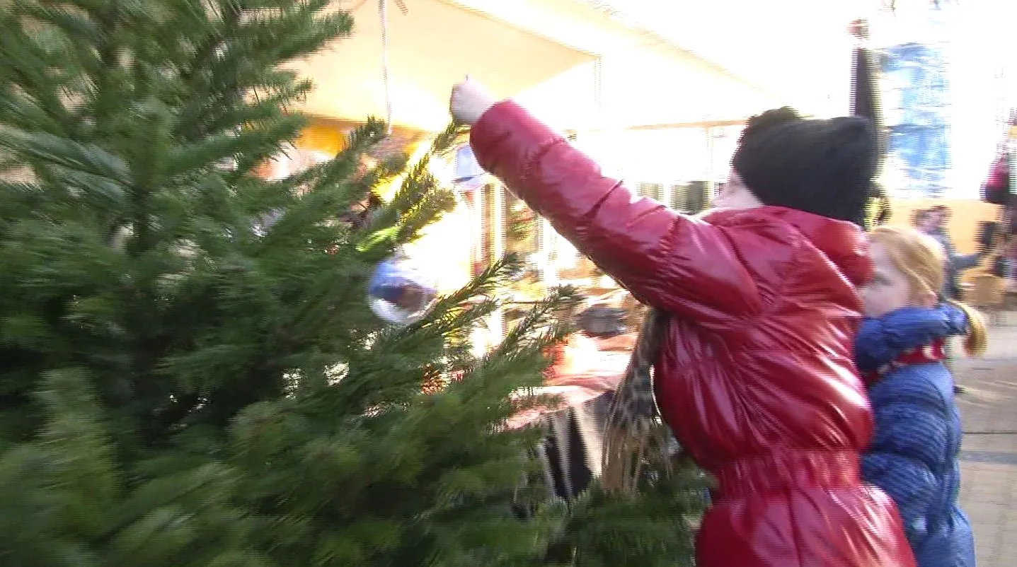 zybi80ntz96pg3wg1vphk87rn kerstwens 2