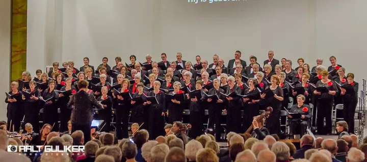 excelsior 14 720x319