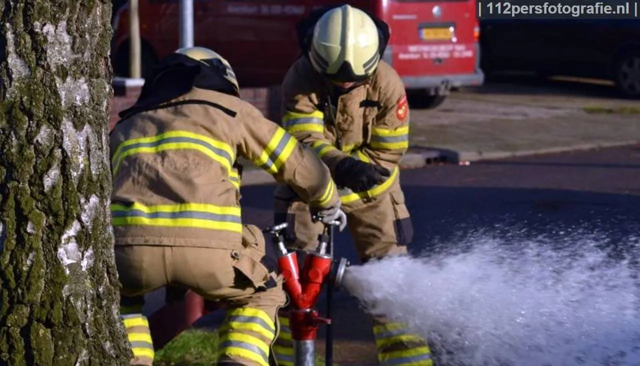 2014 12 31 containerbrand 2