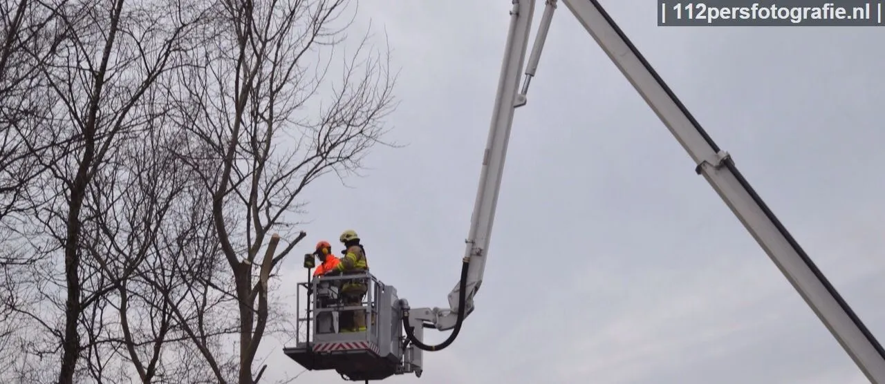 2015 01 10 omvallende boom persfotografie 001