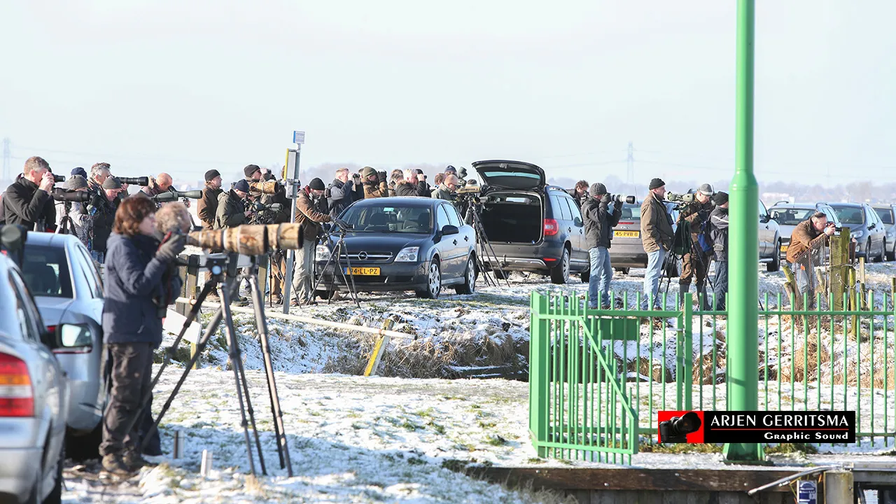 2015 01 24 vogelaars