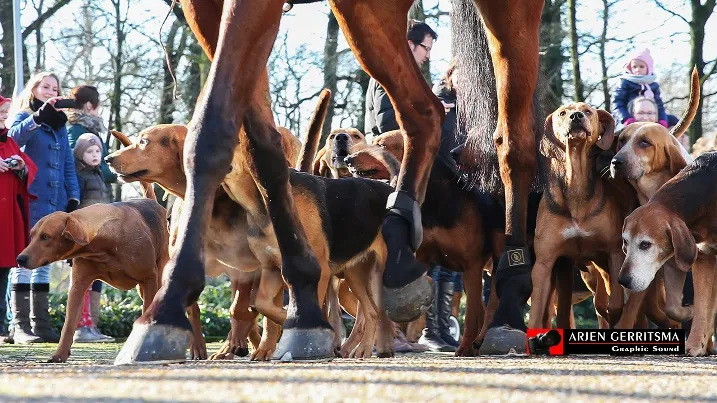 2015 01 31 slipjacht 003