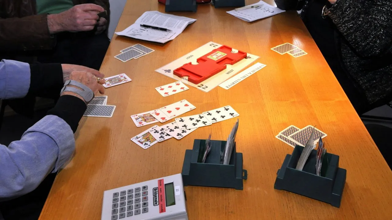 2015 03 28 jan de witdrive bridge 08