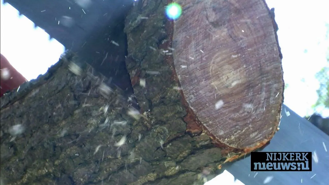 2015 04 04 boomzagen