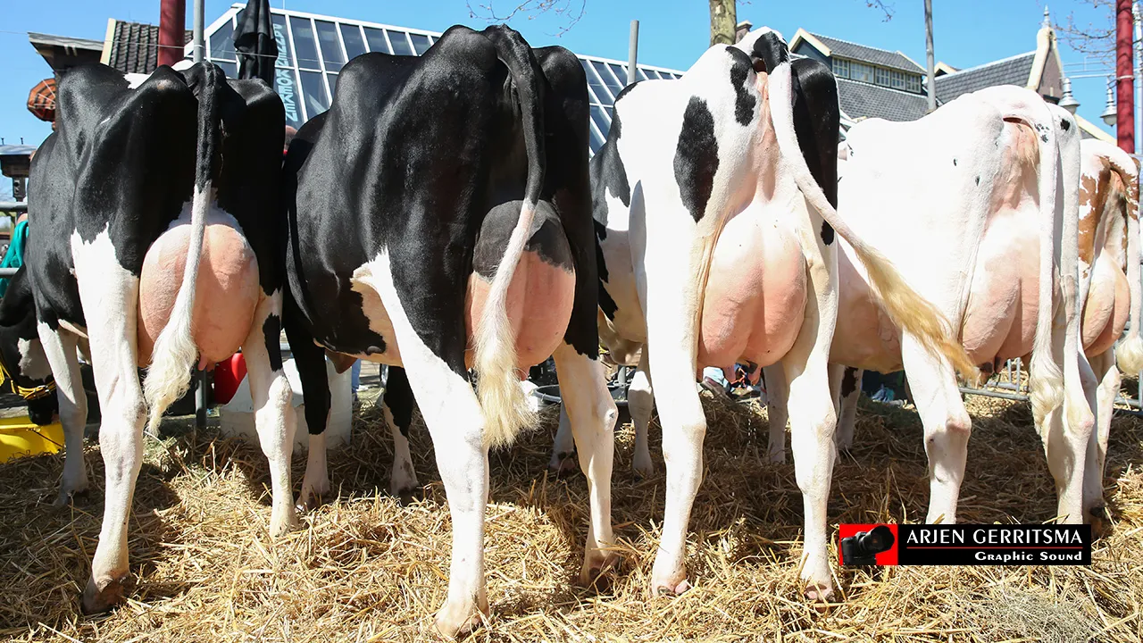 2015 04 20 boerenmaandag 017