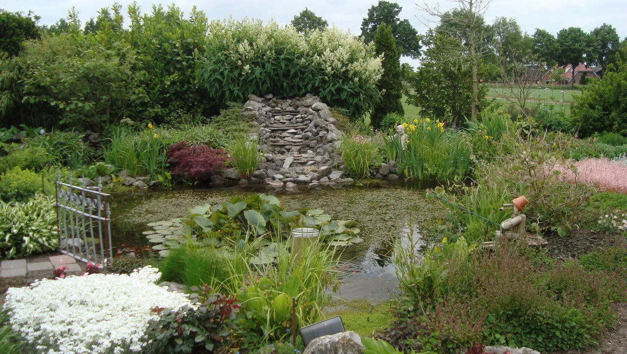 2015 06 11 groei en bloei