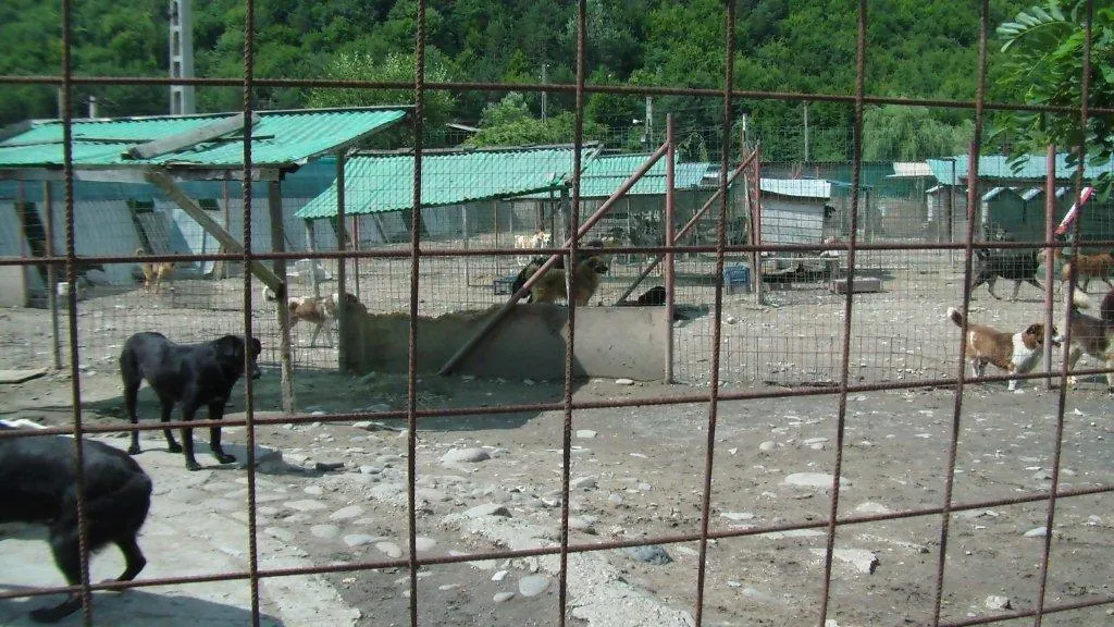 2015 07 13 stichting gotz 005