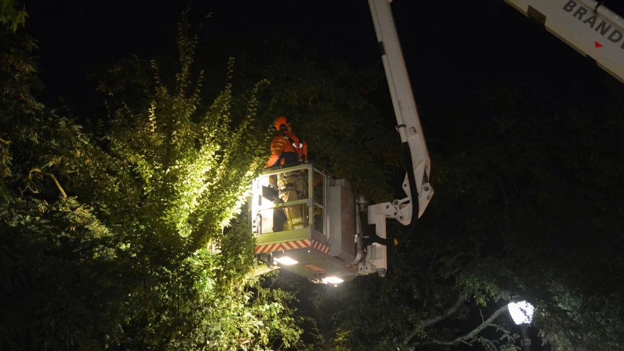 2015 08 31 ongeval overhangende tak westerdorpstraat 1