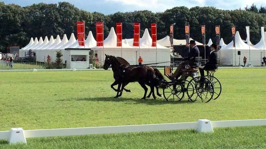 2015 09 04 ewoud boom