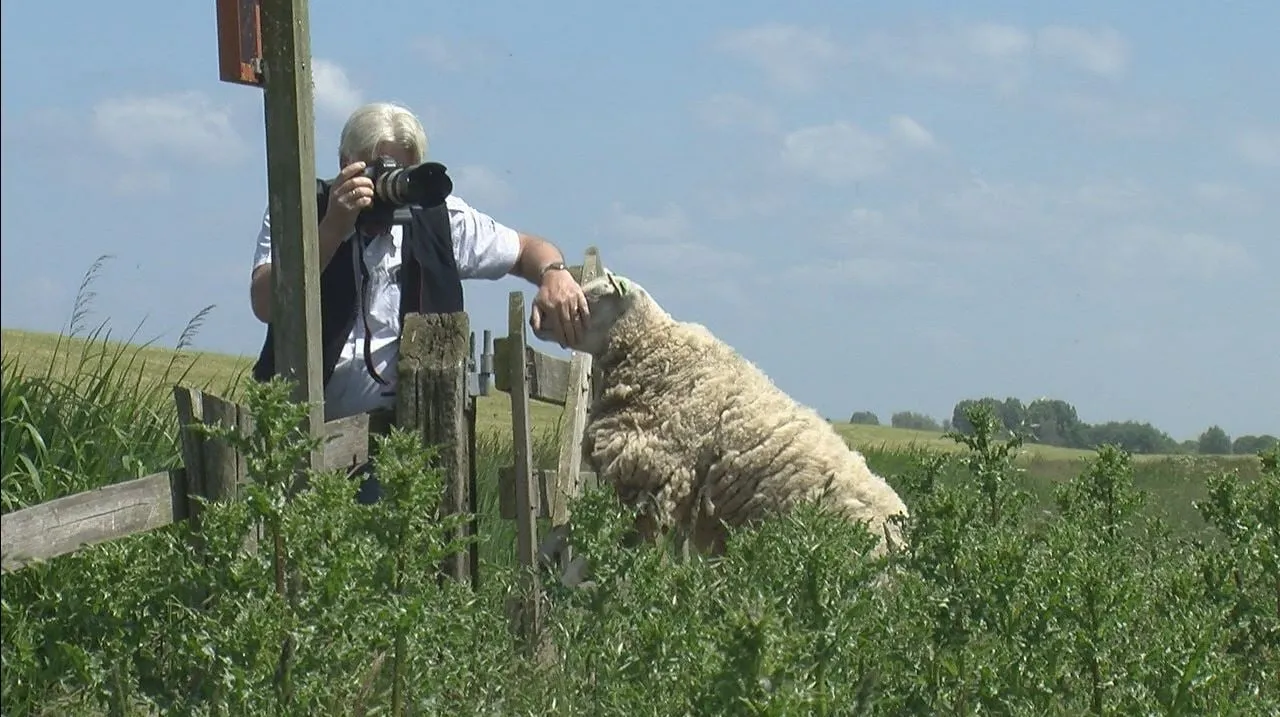 2015 10 03 arjen gerritsma