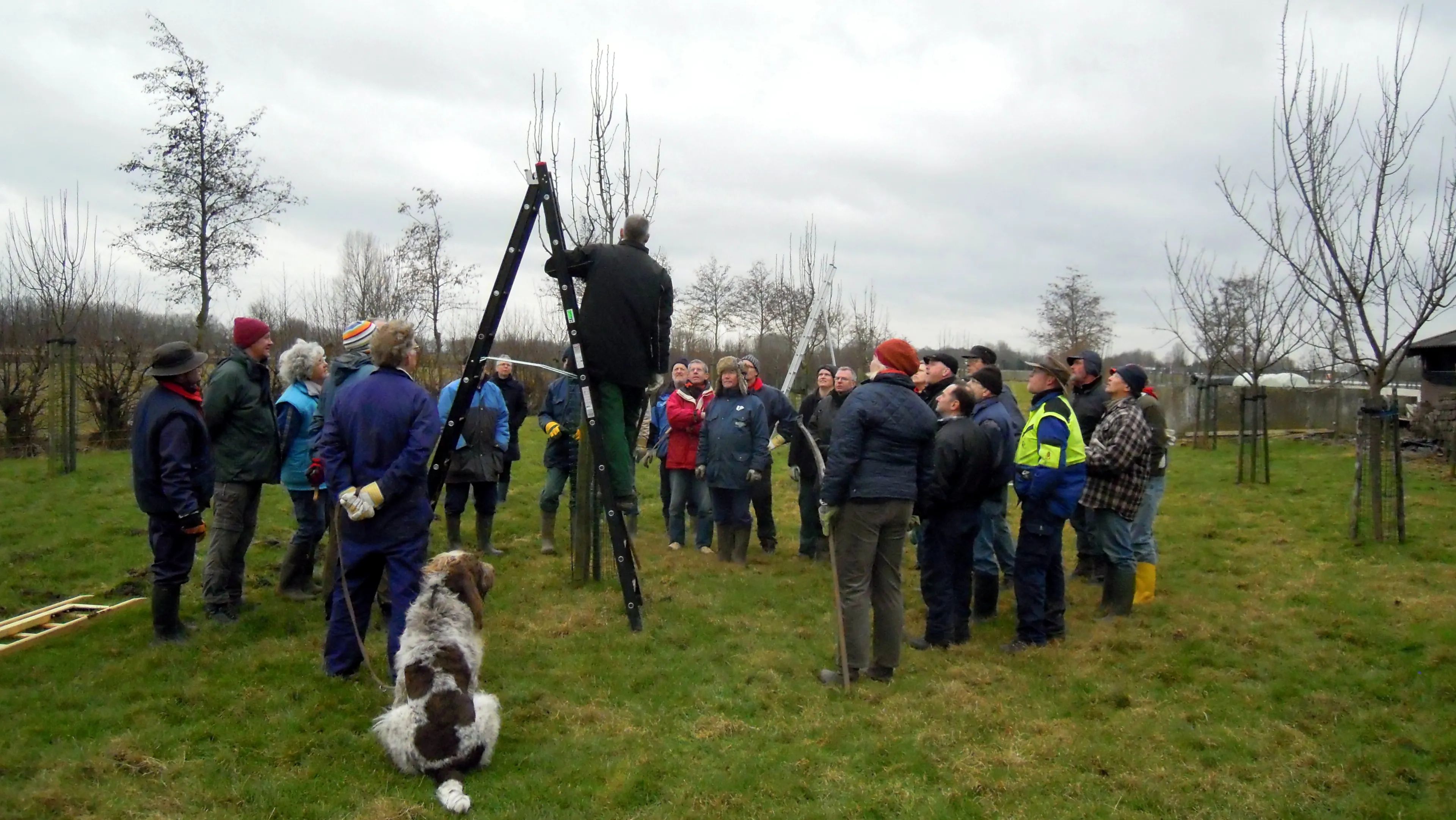 2015 10 29 hoogstamfruit