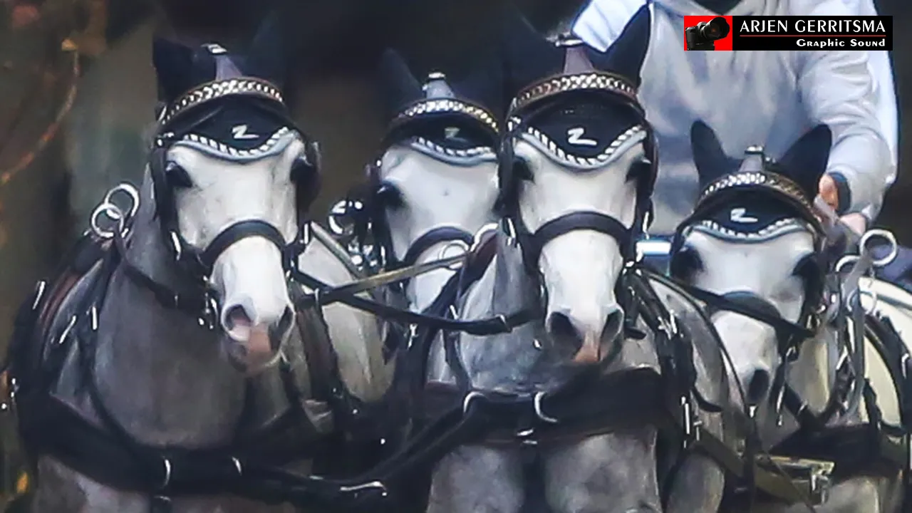 2015 11 07 menindoor 012