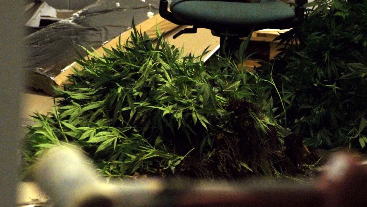 2015 11 25 ongeval hennep wiet 2