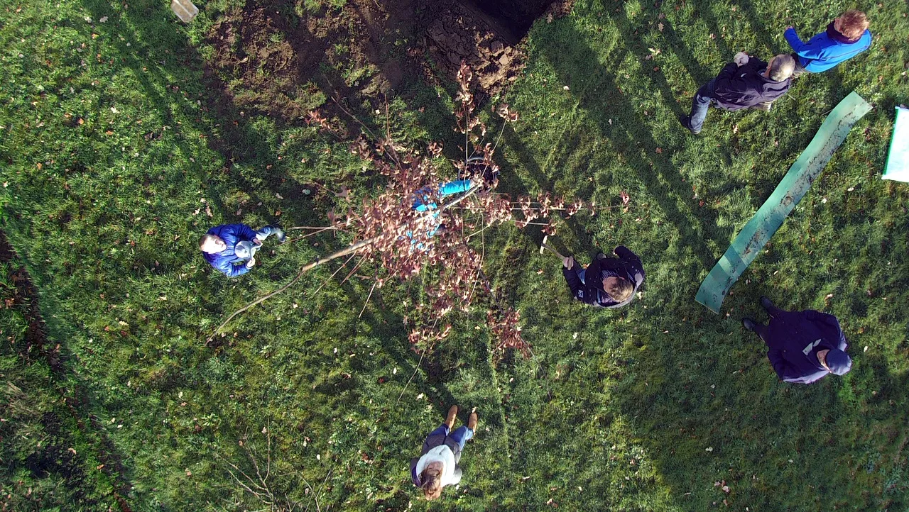 2015 11 28 boomplantdag appel 3