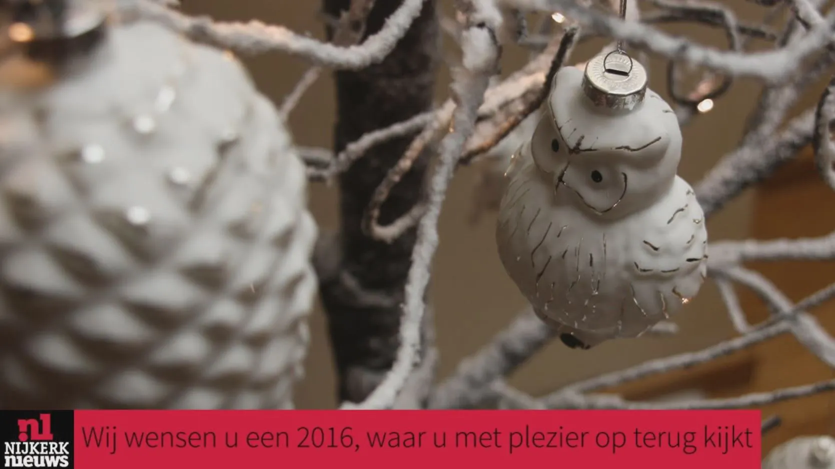 2015 12 30 nieuwjaarswens