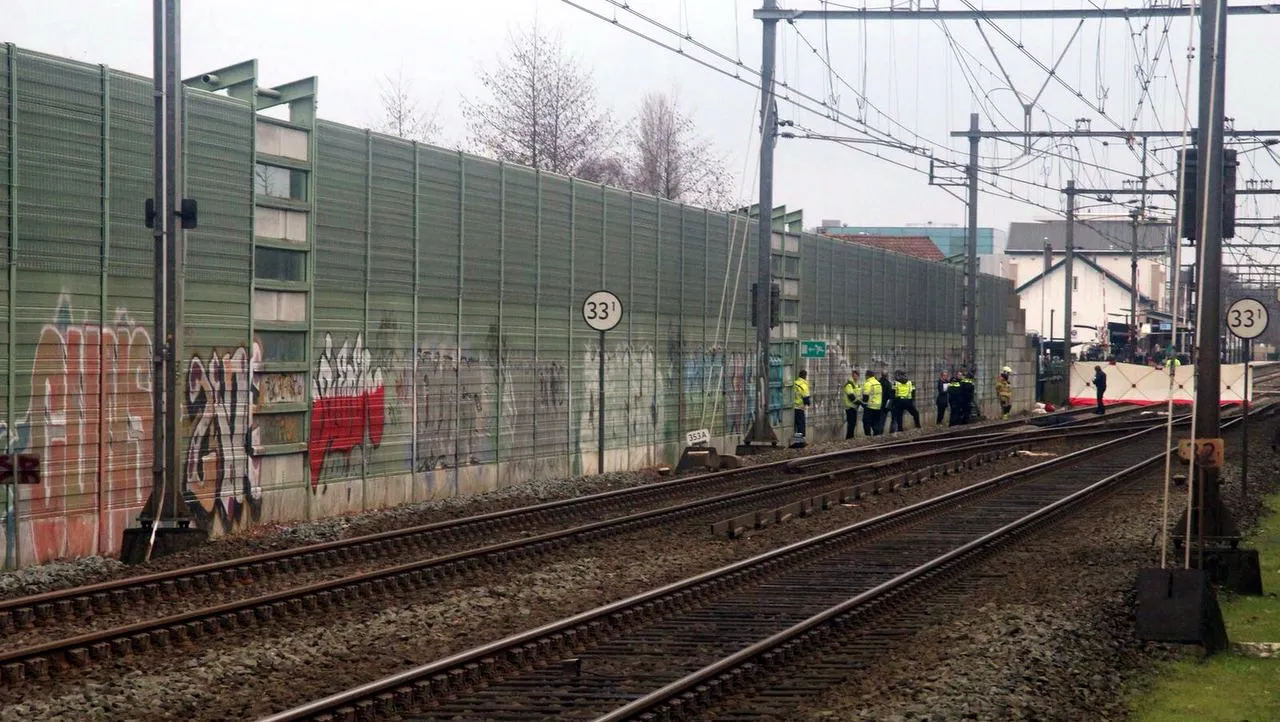 2016 01 29 spoor dode