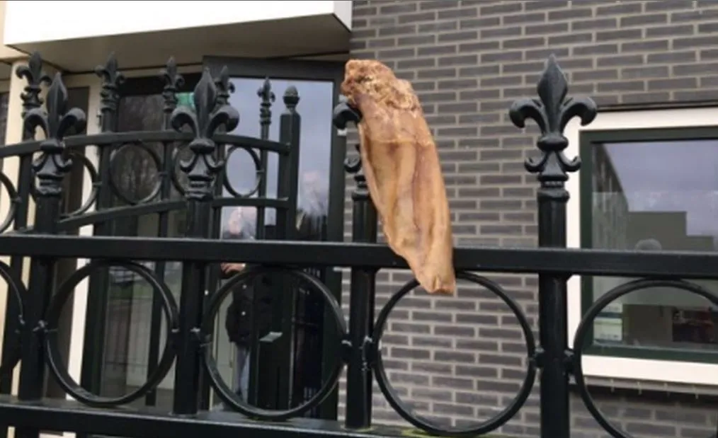 2016 01 29 varkensoor aan mosskee