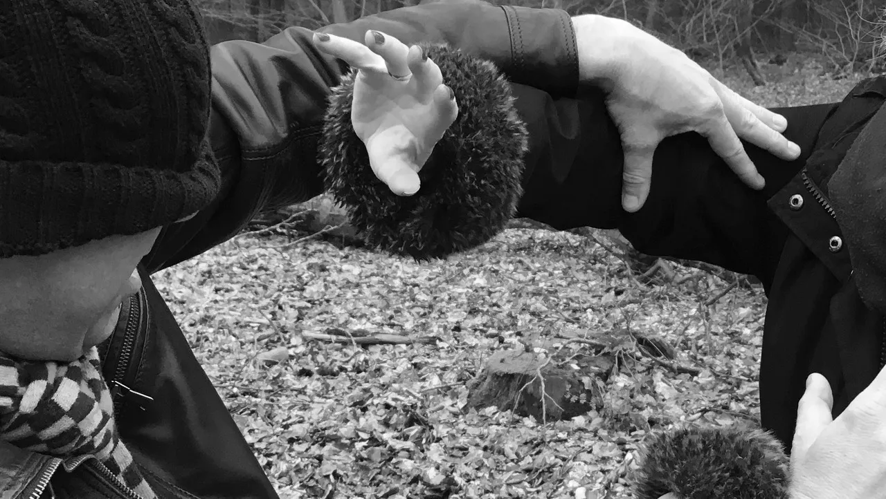 2016 02 15 rebel wsd